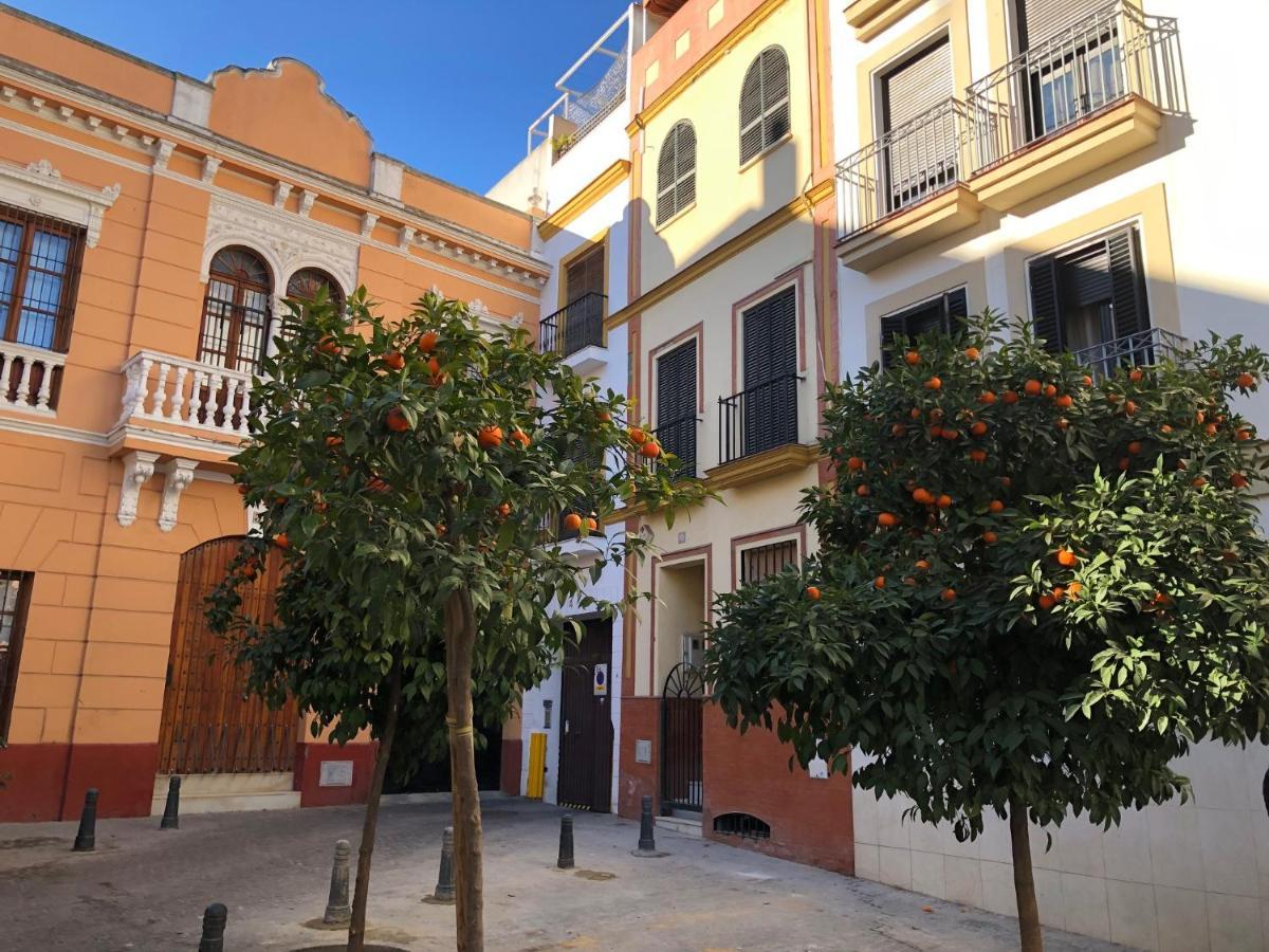 Unique House - Private Spa&Pool -StayinSevilla Eksteriør bilde